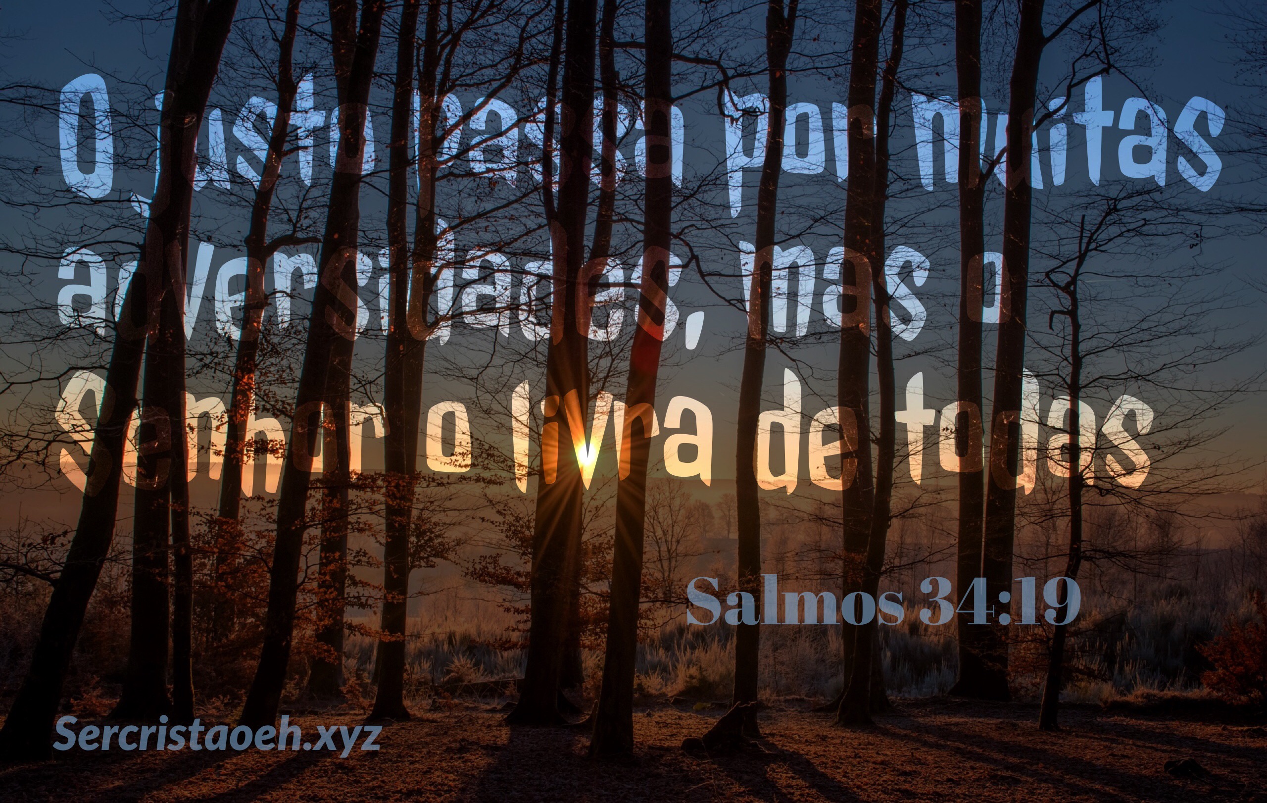 Salmos 34:19